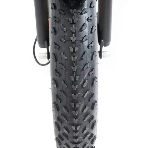 SILVERADO 20 48V/14AH 750W Foldable Fat Tire Electric Trike, 330LBS (96817362)